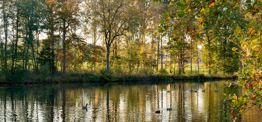 Autumn, Lüneburg Heath, Germany - The circular walk Lopausee. It is a reservoir east of Amelinghausen in the Lüneburg Heath on a sunny day in the golden day in October.
