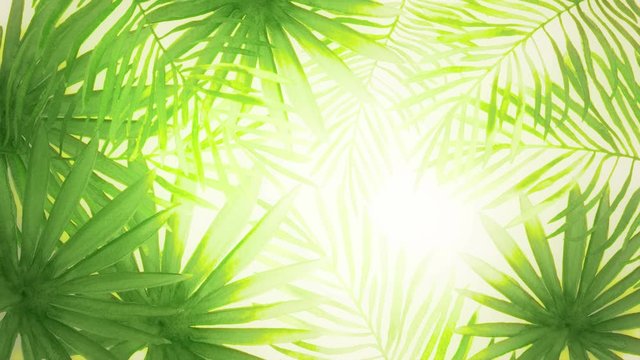 Abstract background with hand drawn watercolor tropical palm leaves. Seamless looping 4K footage. 