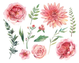 Fotobehang Rozen Floral elementen instellen. Aquarel botanische illustratie van bloemen en bladeren. Natuurlijke objecten geïsoleerd op een witte achtergrond