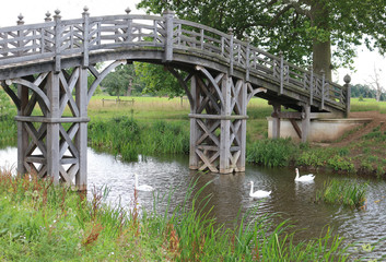 Fototapeta na wymiar A wooden bridge in the countryside with three swans swimming underneath.