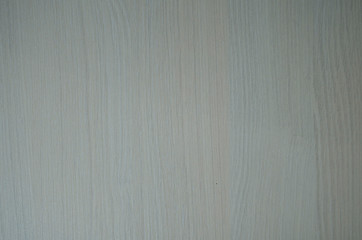 tree texture background