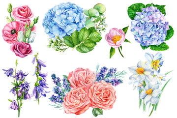 Set of summer bouquets daffodils, hydrangeas, roses, lavender, peonies, bells on an isolated white background, watercolor illustration, botanical painting, wedding design 