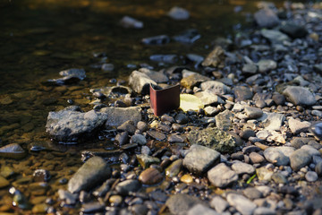 Lost Wallet