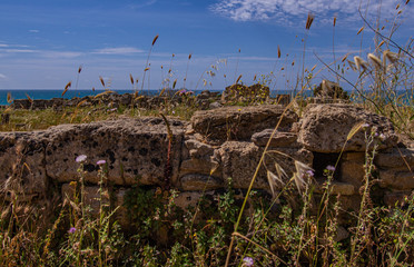 Selinunt Antic Greek City