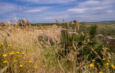 Selinunt - Antic Greek City © olakamyk
