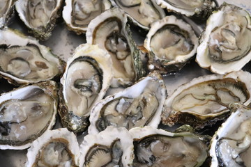 Plateau d'huitres ouvertes