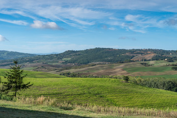 Tuscany landscape at sunrise. Typical for the region tuscan farm houses, hills, vineyard. Italy