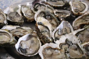 Plateau d'huitres ouvertes