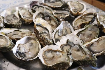 Plateau d'huitres ouvertes