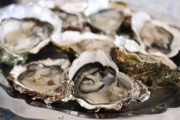 Plateau d'huitres ouvertes
