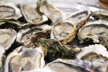 Plateau d'huitres ouvertes
