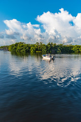 A boat sails past the mangroves on it's way out into Biscayne Bay, Florida from Matheson Hammock Park Marina