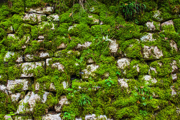 wall with old stones