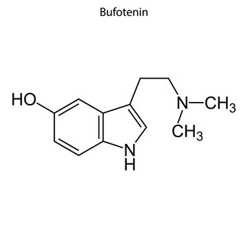 Bufotenin Skeletal Formula Of Chemical Element