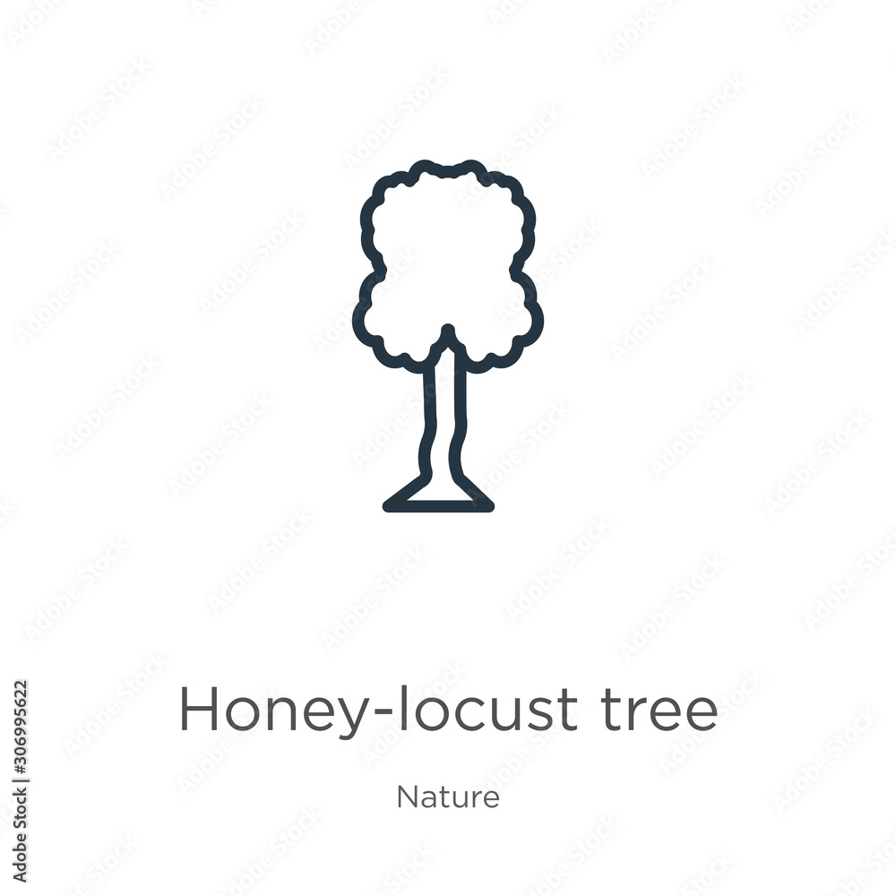 Poster honey-locust tree icon. thin linear honey-locust tree outline icon isolated on white background from
