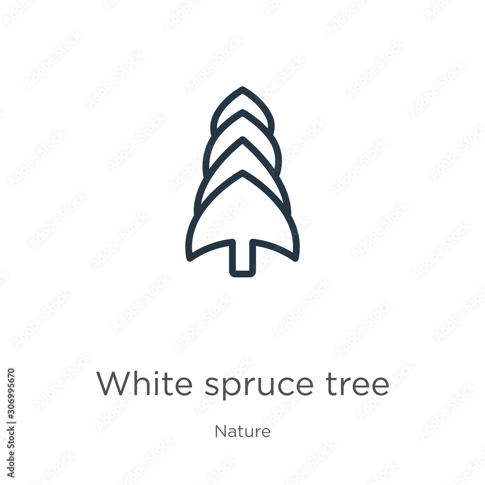Poster white spruce tree icon. thin linear white spruce tree outline icon isolated on white background from
