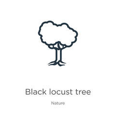 Black locust tree icon. Thin linear black locust tree outline icon isolated on white background from nature collection. Line vector black locust tree sign, symbol for web and mobile