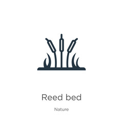 Reed bed icon. Thin linear reed bed outline icon isolated on white background from nature collection. Line vector reed bed sign, symbol for web and mobile