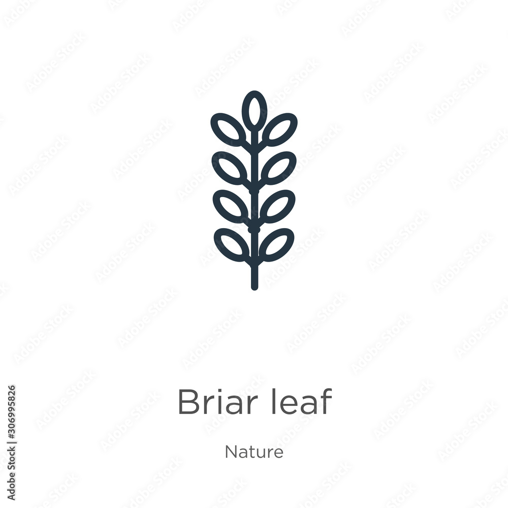 Poster briar leaf icon. thin linear briar leaf outline icon isolated on white background from nature collec