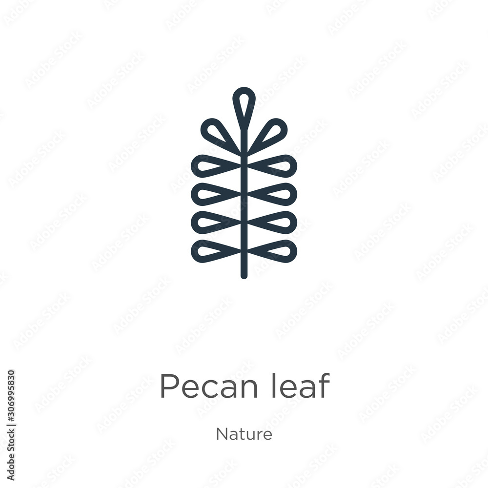 Poster pecan leaf icon. thin linear pecan leaf outline icon isolated on white background from nature collec