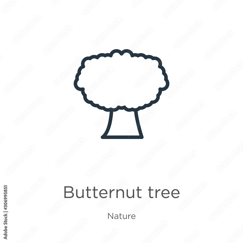 Poster butternut tree icon. thin linear butternut tree outline icon isolated on white background from natur