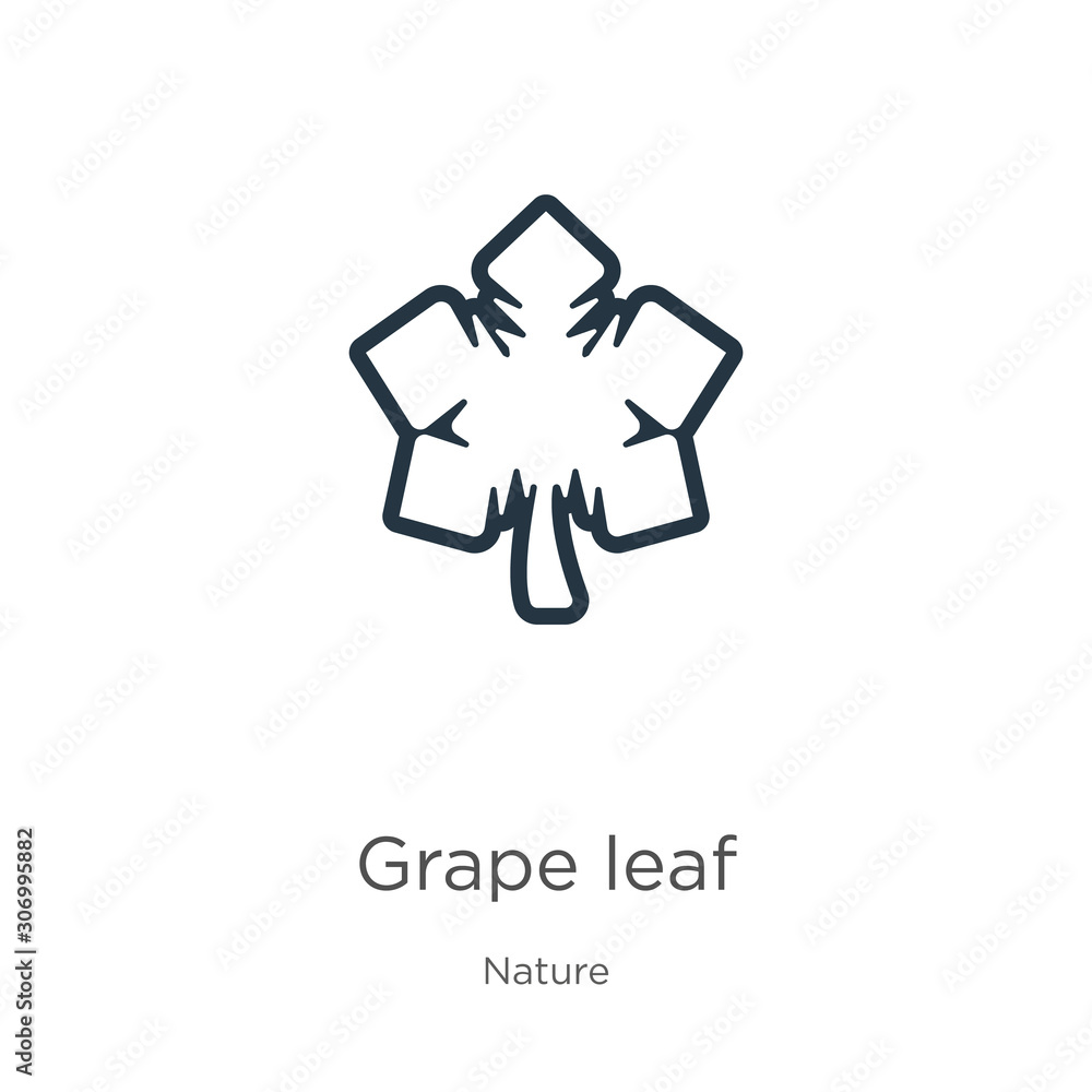 Poster grape leaf icon. thin linear grape leaf outline icon isolated on white background from nature collec