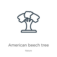 American beech tree icon. Thin linear american beech tree outline icon isolated on white background from nature collection. Line vector american beech tree sign, symbol for web and mobile