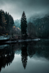 Winter mountain lake view with pine trees forest in the fog clouds and dramatic dark light. Walking in the nature mountains in winter times. Brocken, Harz National Park Mountains in Germany