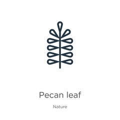 Pecan leaf icon. Thin linear pecan leaf outline icon isolated on white background from nature collection. Line vector pecan leaf sign, symbol for web and mobile