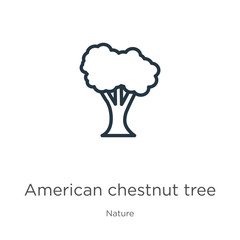 American chestnut tree icon. Thin linear american chestnut tree outline icon isolated on white background from nature collection. Line vector american chestnut tree sign, symbol for web and mobile
