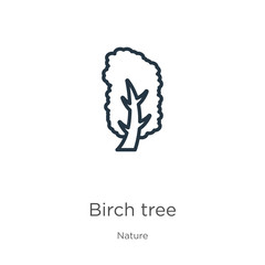 Yellow birch tree icon. Thin linear yellow birch tree outline icon isolated on white background from nature collection. Line vector yellow birch tree sign, symbol for web and mobile