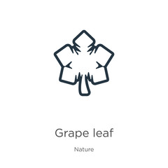 Grape leaf icon. Thin linear grape leaf outline icon isolated on white background from nature collection. Line vector grape leaf sign, symbol for web and mobile