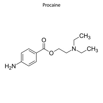 procaine Skeletal formula of Chemical element