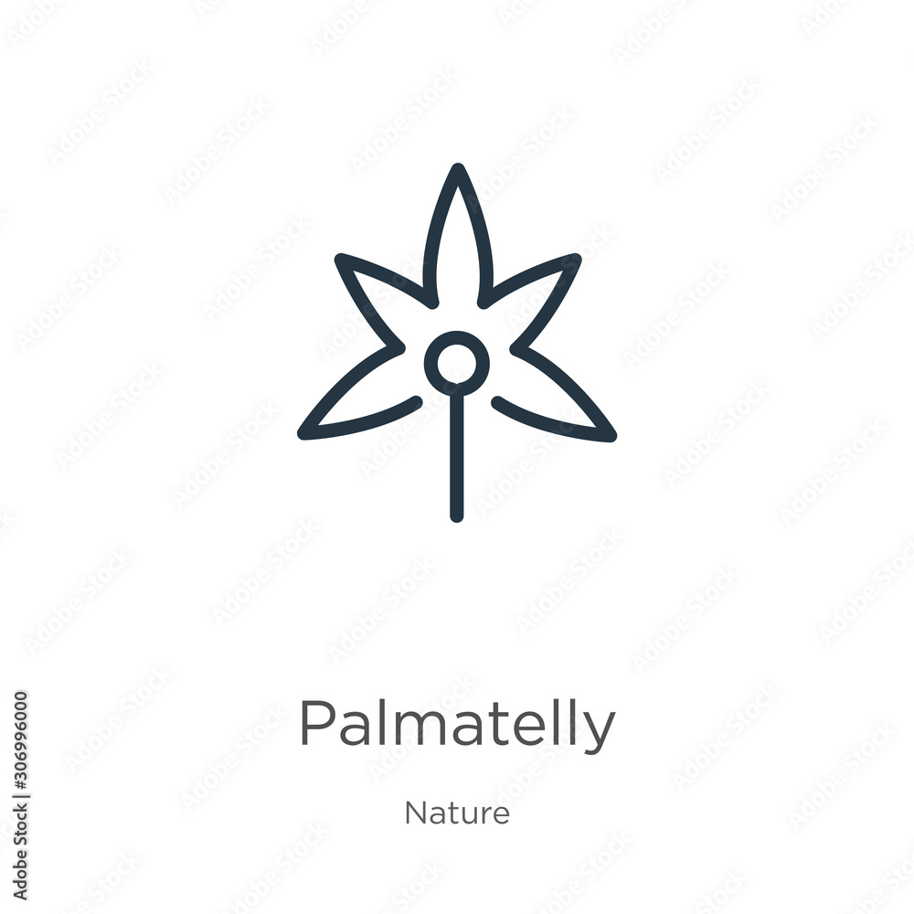 Poster palmatelly icon. thin linear palmatelly outline icon isolated on white background from nature collec