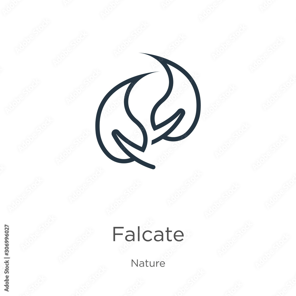 Poster falcate icon. thin linear falcate outline icon isolated on white background from nature collection. 