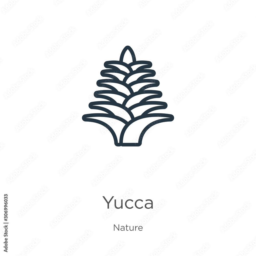 Poster yucca icon. thin linear yucca outline icon isolated on white background from nature collection. line