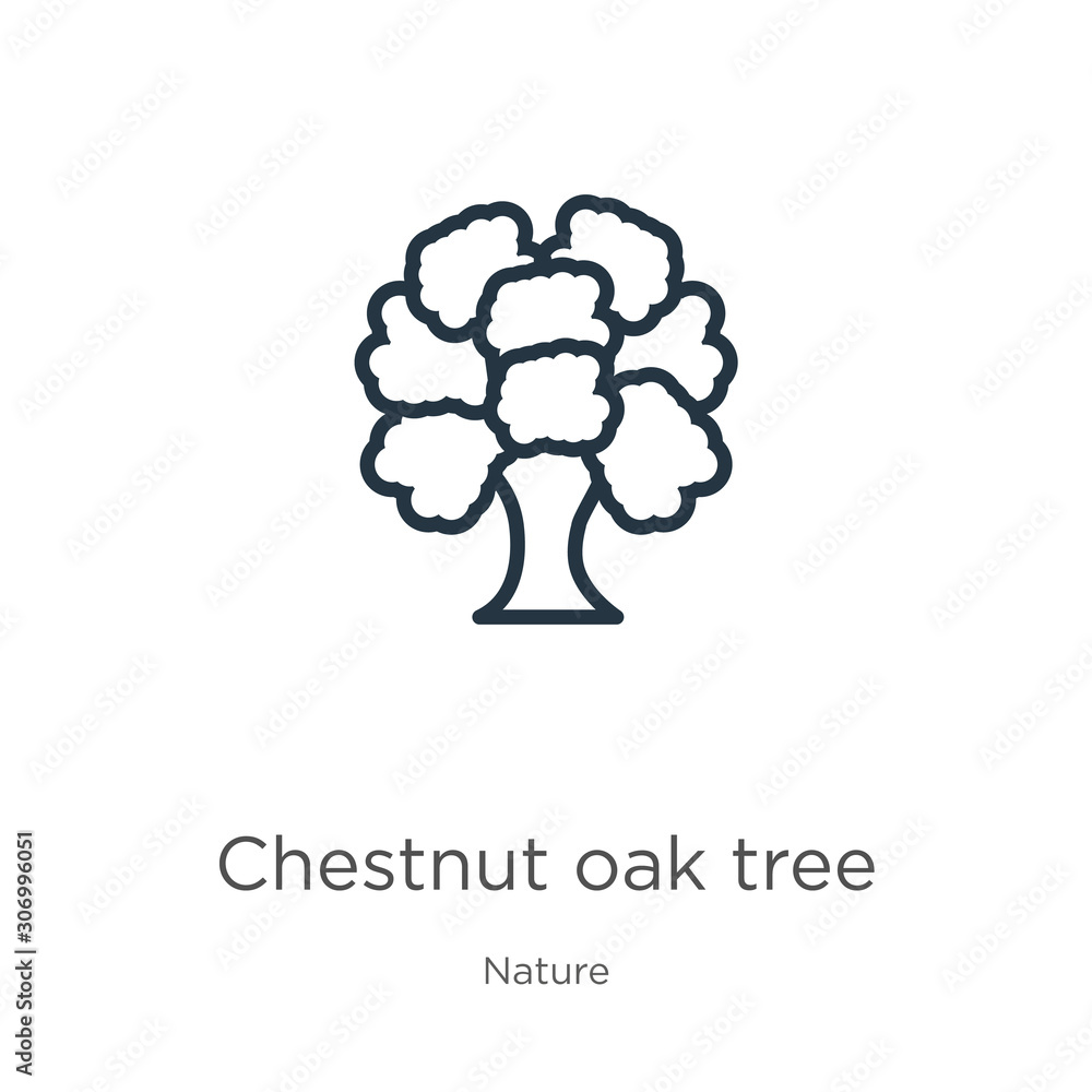 Poster chestnut oak tree icon. thin linear chestnut oak tree outline icon isolated on white background from
