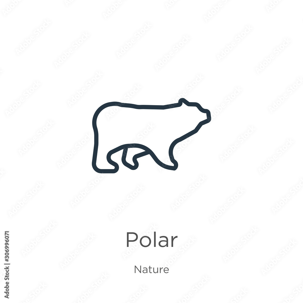 Poster polar icon. thin linear polar outline icon isolated on white background from nature collection. line