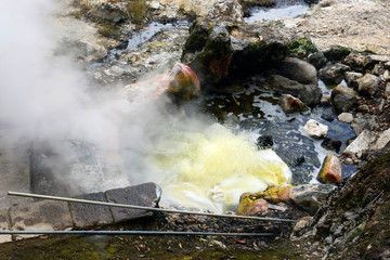 Cooking sweet corn in thermal springs. Travel to Furnas, San Miguel, Azores..Furnas is a valley of...