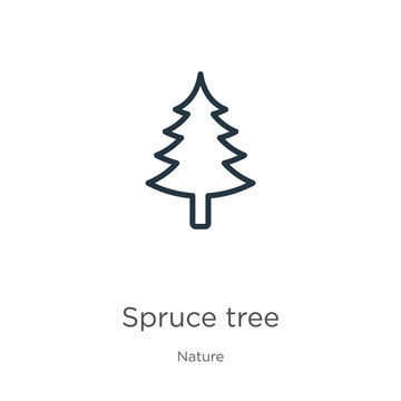 Red spruce tree icon. Thin linear red spruce tree outline icon isolated on white background from nature collection. Line vector red spruce tree sign, symbol for web and mobile