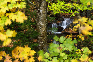 Madonna peak Sterling Range waterfall through Fall tree leaves from Smugglers Notch road Vermont