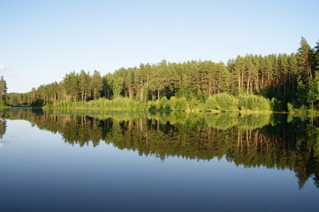 Fototapeta na wymiar photo of a lake without waves a pine forest on the horizon, reflection of a forest in a lake, vacations, travel concept, relax and silence