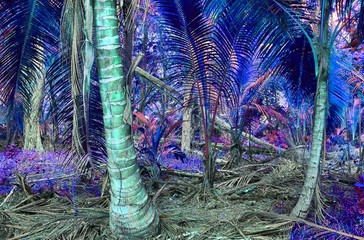Beautiful pink and purple infrared shots of tropical palm trees on the Seychelles
