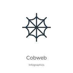 Cobweb icon. Thin linear cobweb outline icon isolated on white background from infographics collection. Line vector cobweb sign, symbol for web and mobile