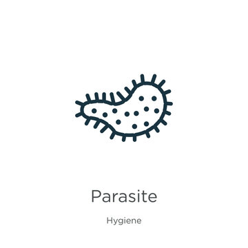 Parasite icon. Thin linear parasite outline icon isolated on white background from hygiene collection. Line vector parasite sign, symbol for web and mobile