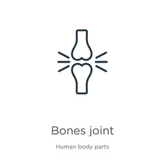 Bones joint icon. Thin linear bones joint outline icon isolated on white background from human body parts collection. Line vector bones joint sign, symbol for web and mobile