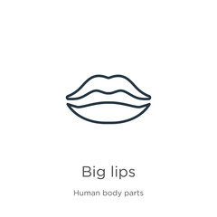 Big lips icon. Thin linear big lips outline icon isolated on white background from human body parts collection. Line vector big lips sign, symbol for web and mobile