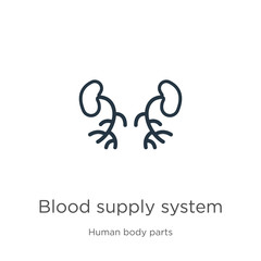 Blood supply system icon. Thin linear blood supply system outline icon isolated on white background from human body parts collection. Line vector blood supply system sign, symbol for web and mobile
