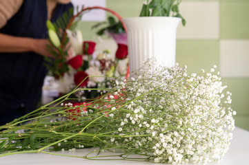 Gypsophyla paniculata double white. Florist workplace.