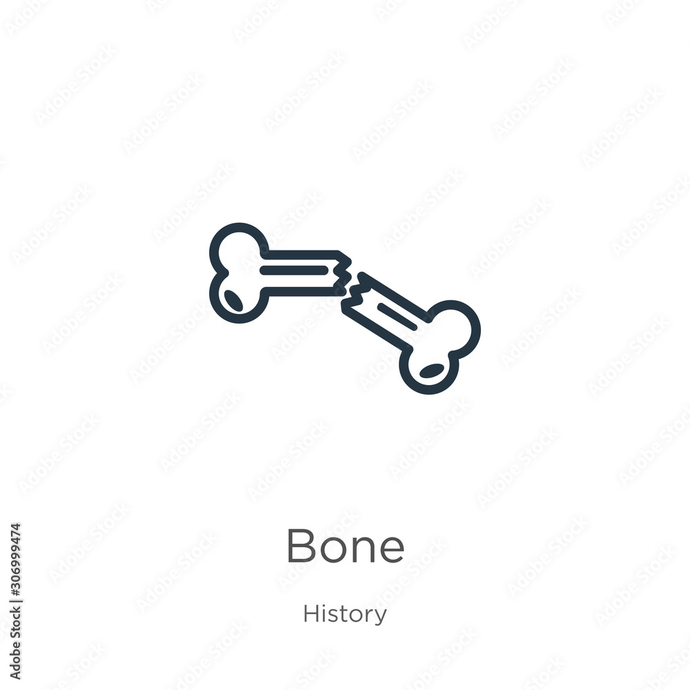 Poster bone icon. thin linear bone outline icon isolated on white background from history collection. line 